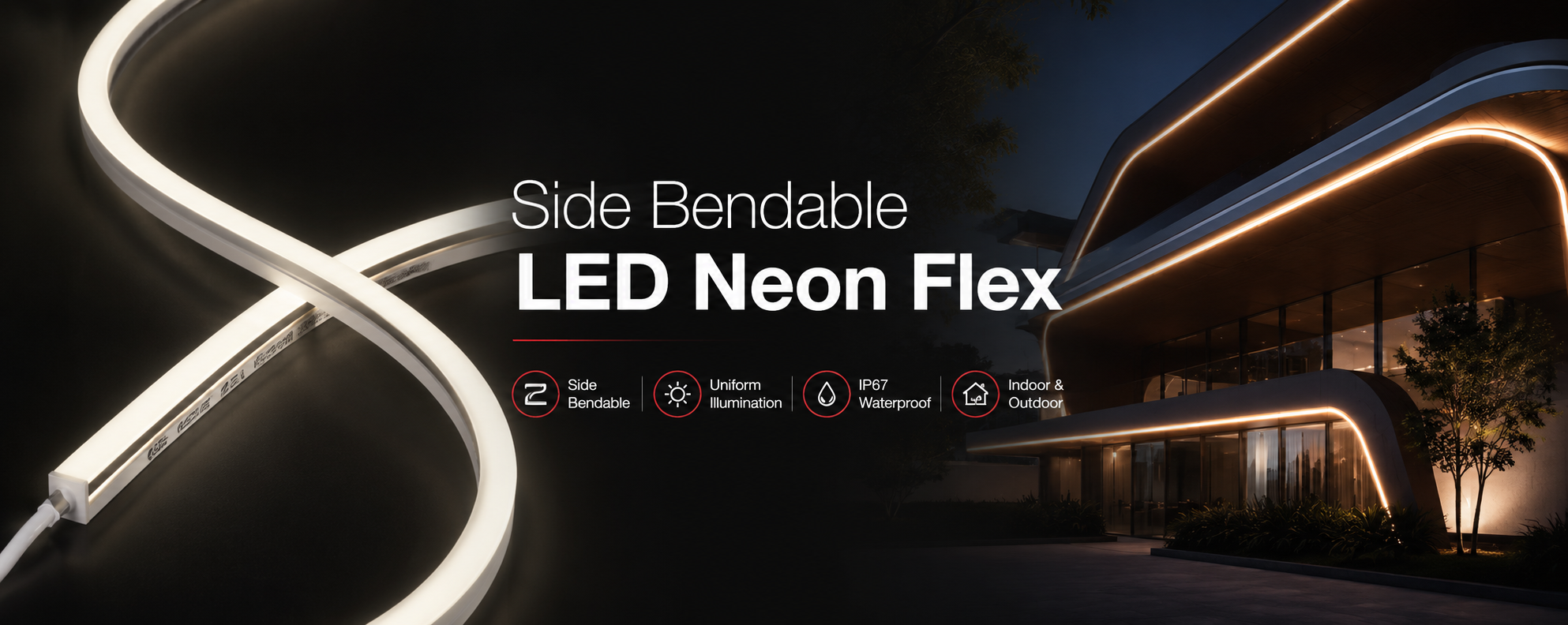 LED Neon Flex
